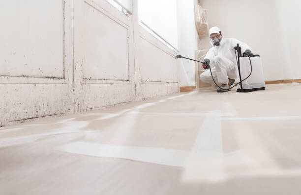 24/7 Emergency Mold Removal experts in Roanoke, TX
